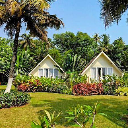 Ether Marari Beachfront Mararikulam Exterior photo